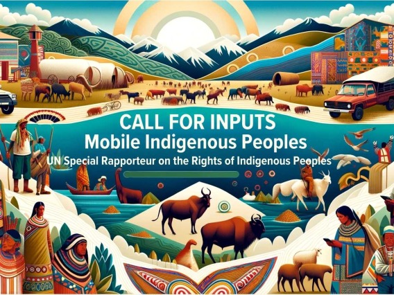 Mobile Indigenous Peoples Banner
