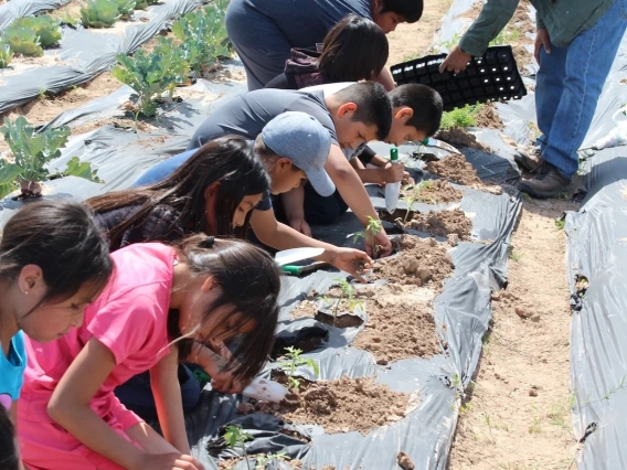 By living and working on tribal nations, our faculty and staff ensure our programs in agriculture, youth development and more are in tune with local needs.